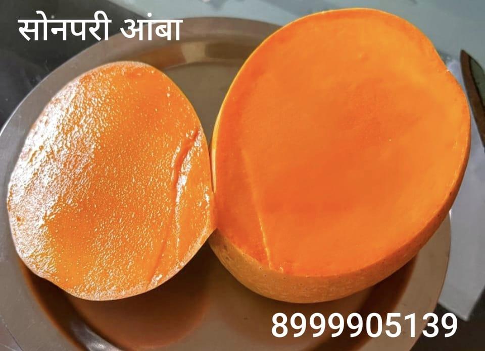 सोनपरी आंबा रोपे मिळतील
