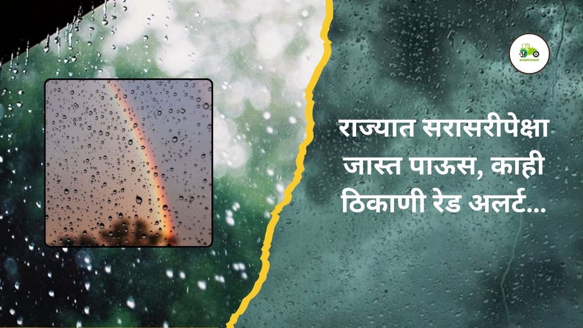 आज राज्यातील कोकण व मध्य महाराष्ट्रातील चार जिल्ह्यांमध्ये दमदार पावसाचा अंदाज, काही ठिकाणी रेड अलर्ट…