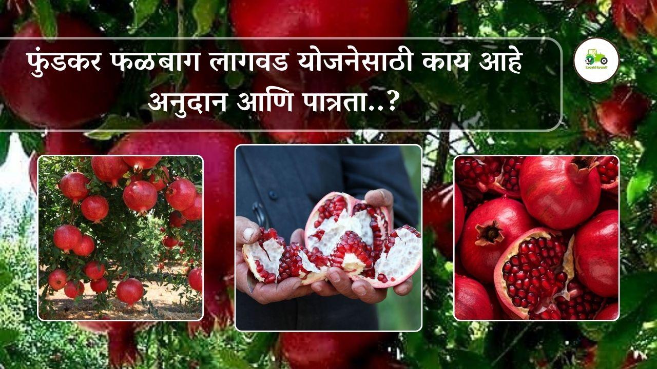 भाऊसाहेब फुंडकर फळबाग लागवड योजनेसाठी  काय आहे अनुदान आणि पात्रता..?