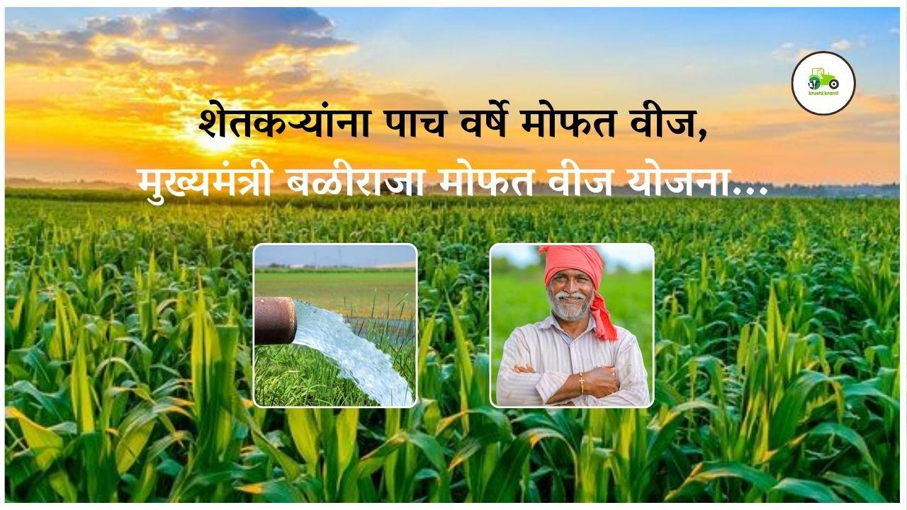 शेतकर्‍यांना पाच वर्षे मोफत वीज मिळणार