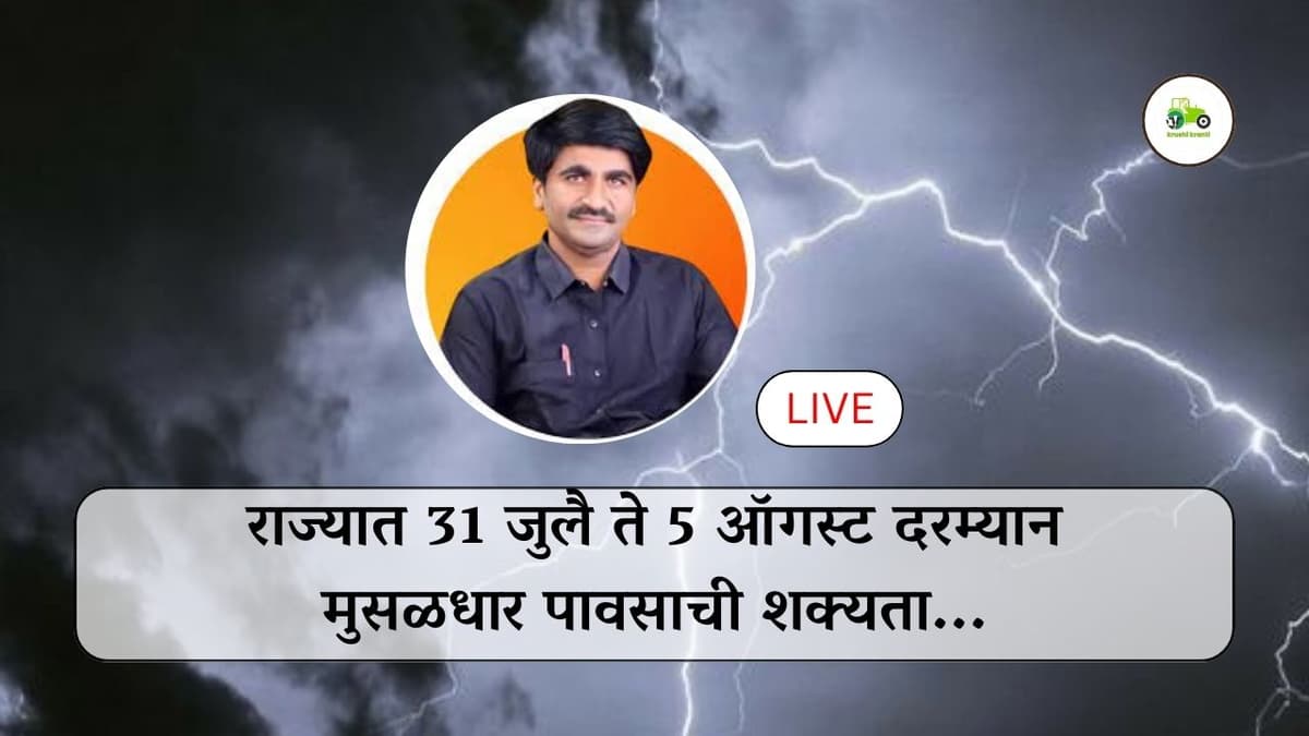 राज्यात 31 जुलै ते 5 ऑगस्ट दरम्यान मुसळधार पावसाची शक्यता...