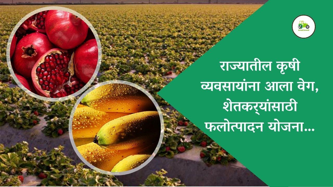 राज्यातील कृषी व्यवसायांना आला वेग,  शेतकर्‍यांसाठी फलोत्पादन योजना...