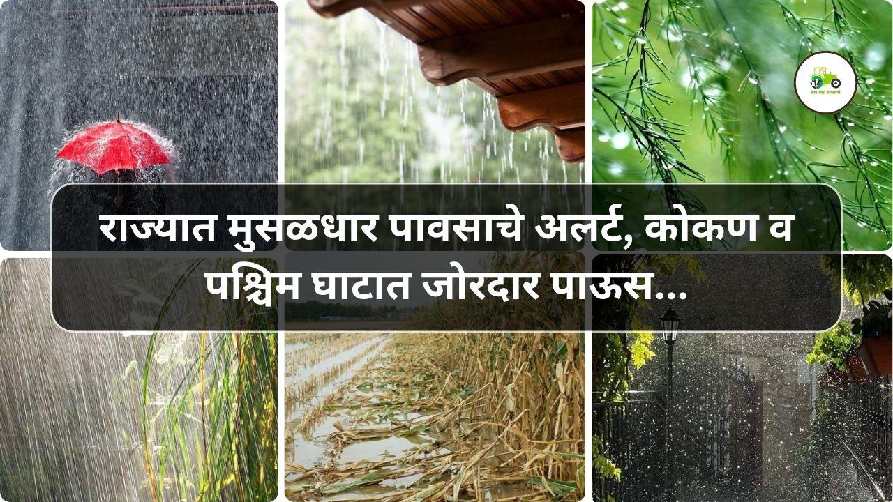 राज्यात मुसळधार पावसाचे अलर्ट, कोकण व पश्चिम घाटात जोरदार पाऊस...