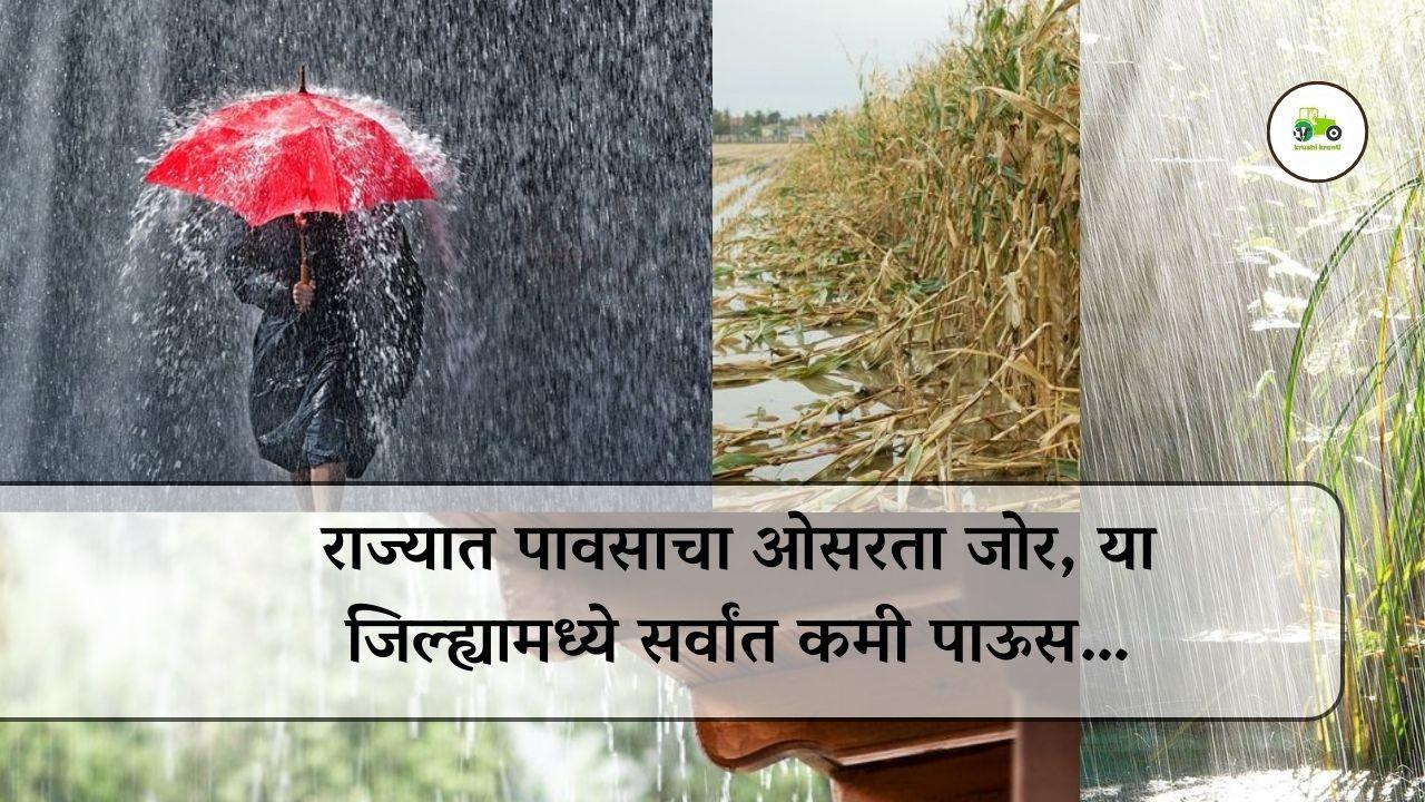 राज्यात पावसाचा ओसरता जोर, या जिल्ह्यामध्ये सर्वांत कमी पाऊस…