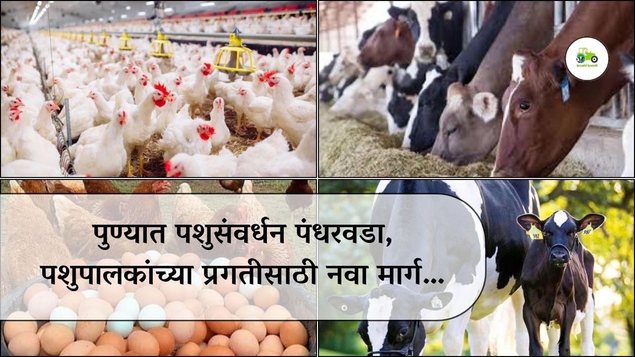 पुण्यात पशुसंवर्धन पंधरवडा