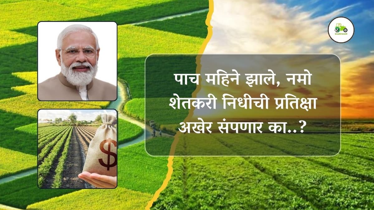 पाच महिने झाले, नमो शेतकरी निधीची प्रतिक्षा अखेर संपणार का..?