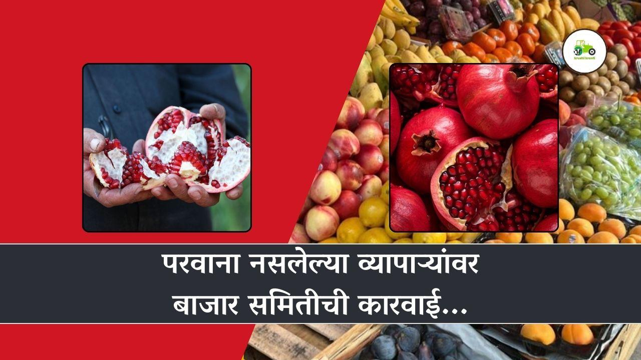 परवाना नसलेल्या व्यापाऱ्यांवर बाजार समितीची कारवाई...