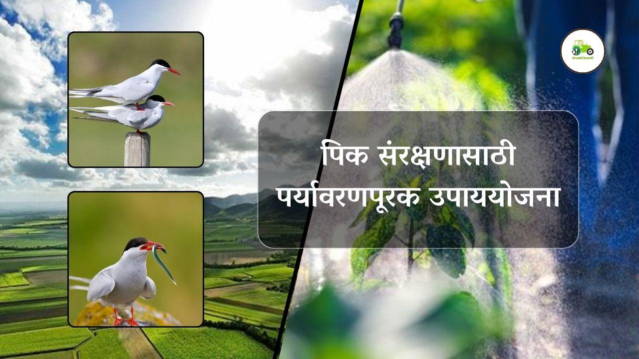 पिक संरक्षणासाठी पर्यावरणपूरक उपाययोजना