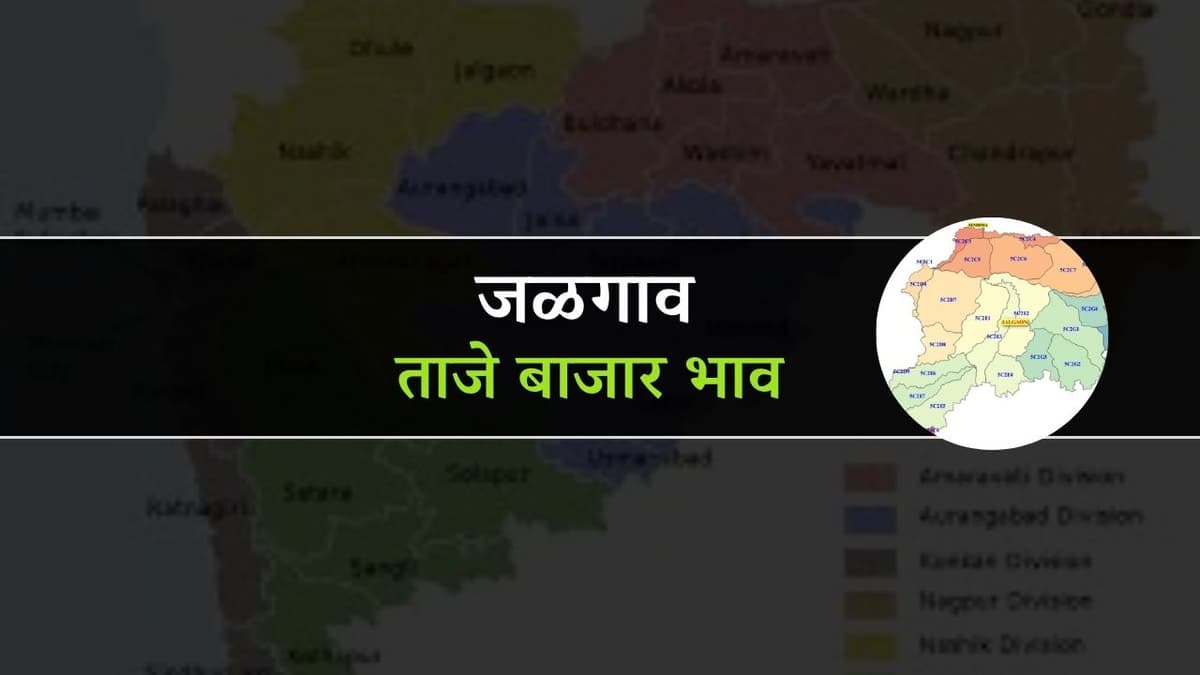 आजचे जळगाव बाजारभाव