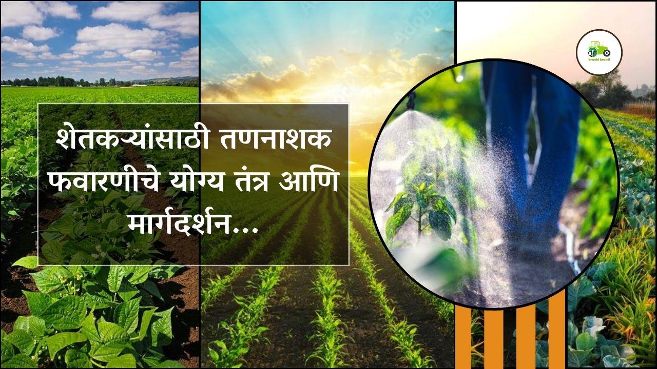 शेतकऱ्यांसाठी तणनाशक फवारणीचे योग्य तंत्र आणि मार्गदर्शन...
