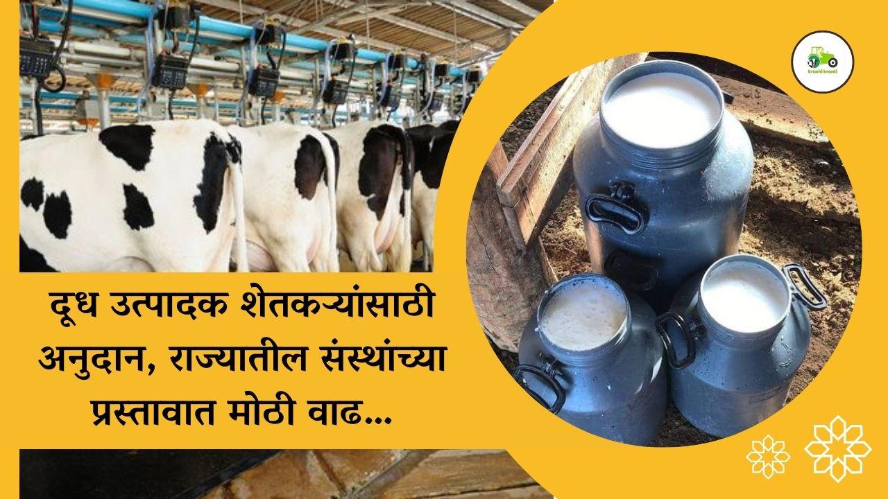 दूध उत्पादक शेतकऱ्यांसाठी अनुदान, राज्यातील संस्थांच्या प्रस्तावात मोठी वाढ…
