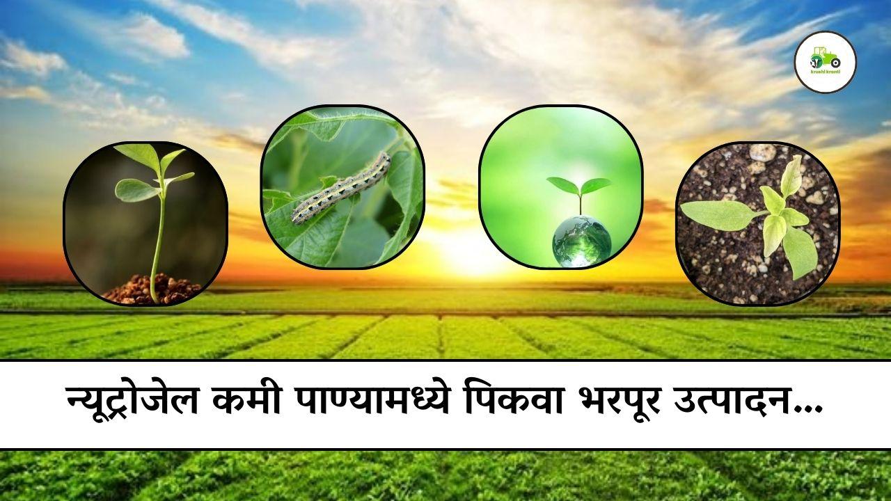 न्यूट्रोजेल - कमी पाण्यामध्ये पिकवा भरपूर उत्पादन…