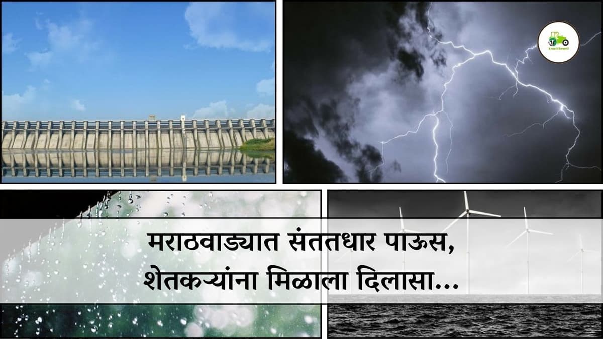 मराठवाड्यात संततधार पाऊस, शेतकऱ्यांना मिळाला दिलासा...