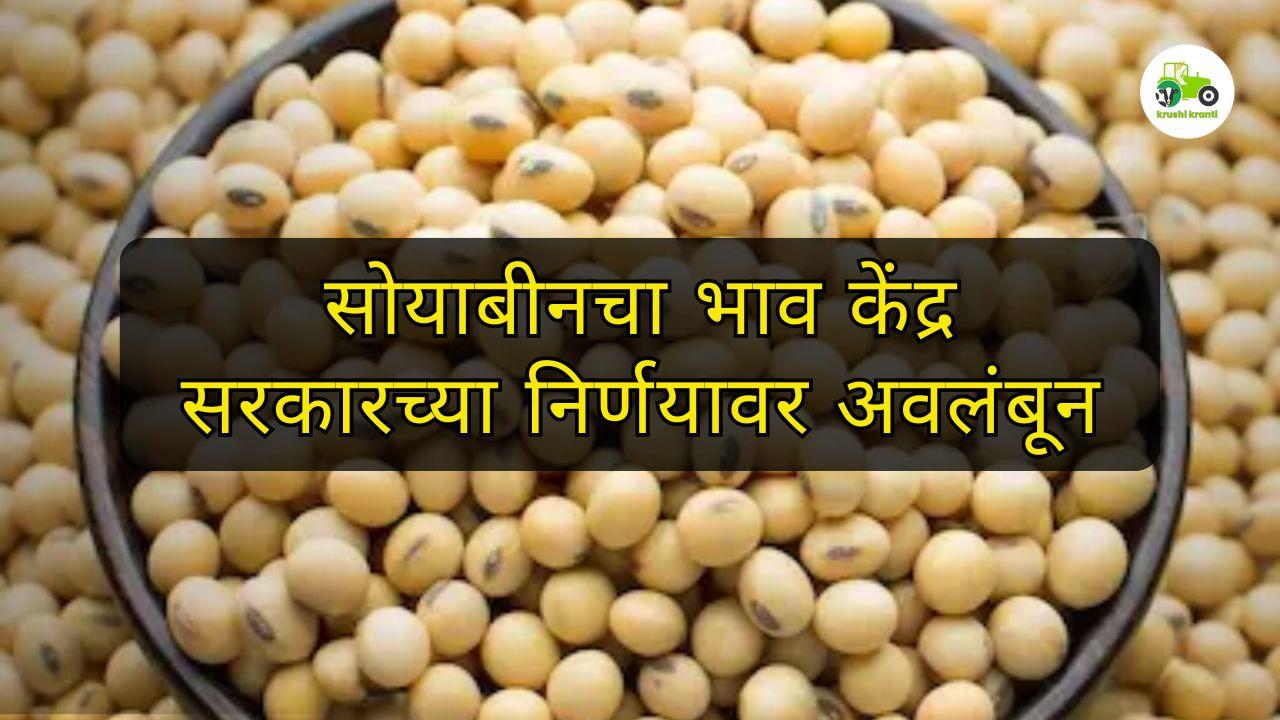 सोयाबीनचा भाव केंद्र सरकारच्या निर्णयावर अवलंबून