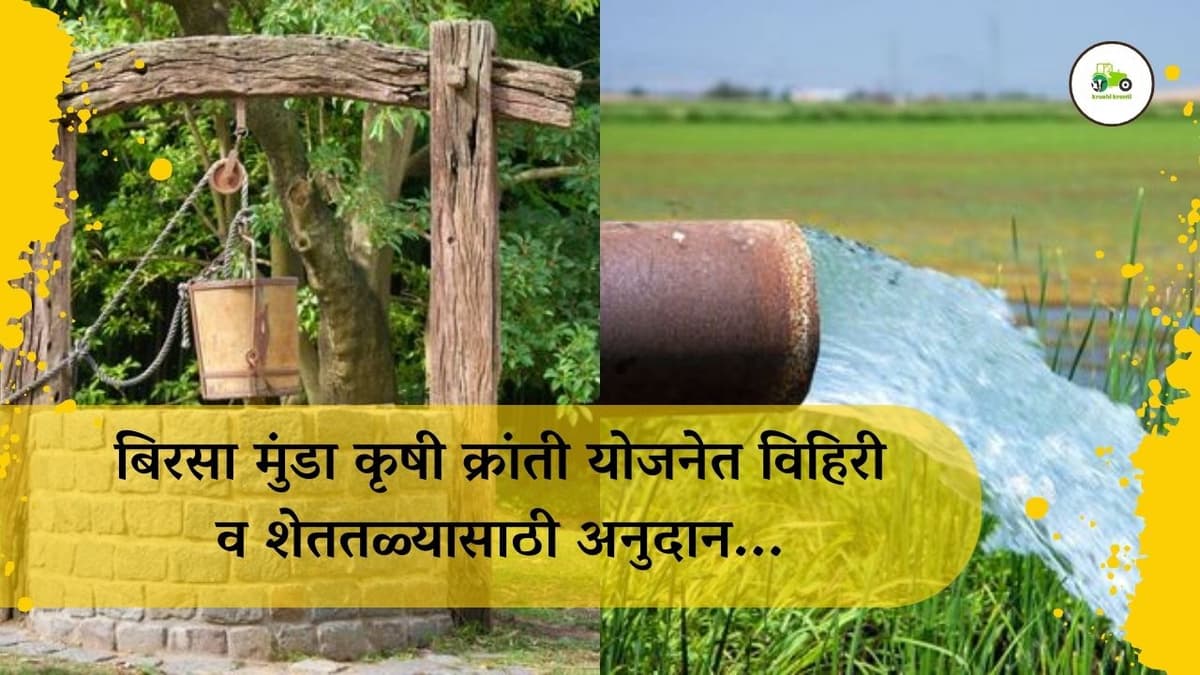 बिरसा मुंडा कृषी क्रांती योजनेत विहिरी व शेततळ्यासाठी अनुदान...