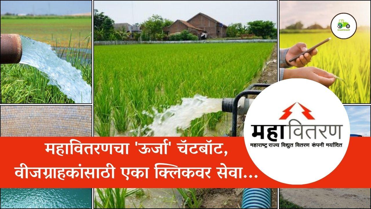 महावितरणचा 'ऊर्जा' चॅटबॉट, वीजग्राहकांसाठी एका क्लिकवर सेवा...