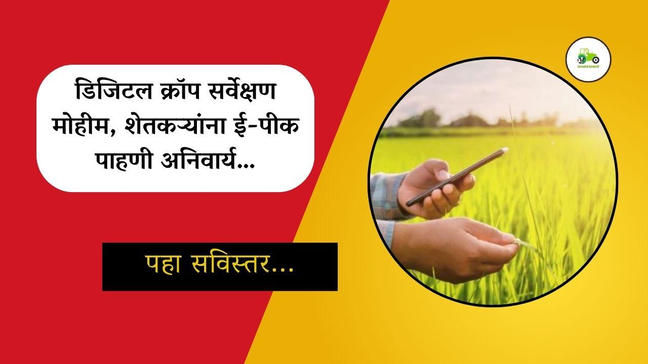 डिजिटल क्रॉप सर्वेक्षण मोहीम, शेतकऱ्यांना ई-पीक पाहणी अनिवार्य…
