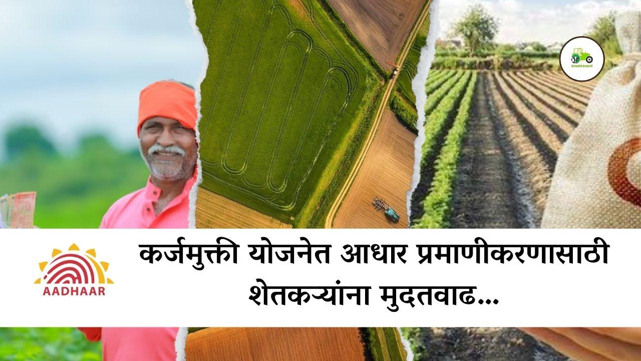 कर्जमुक्ती योजनेत आधार प्रमाणीकरणासाठी शेतकऱ्यांना मुदतवाढ…
