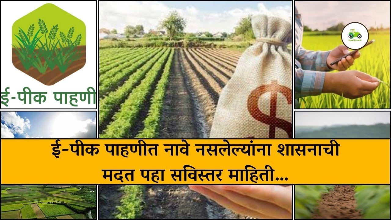 ई-पीक पाहणीत नावे नसलेल्यांना शासनाची मदत पहा सविस्तर माहिती…