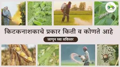 किटकनाशकाचे प्रकार किती व कोणते आहे 