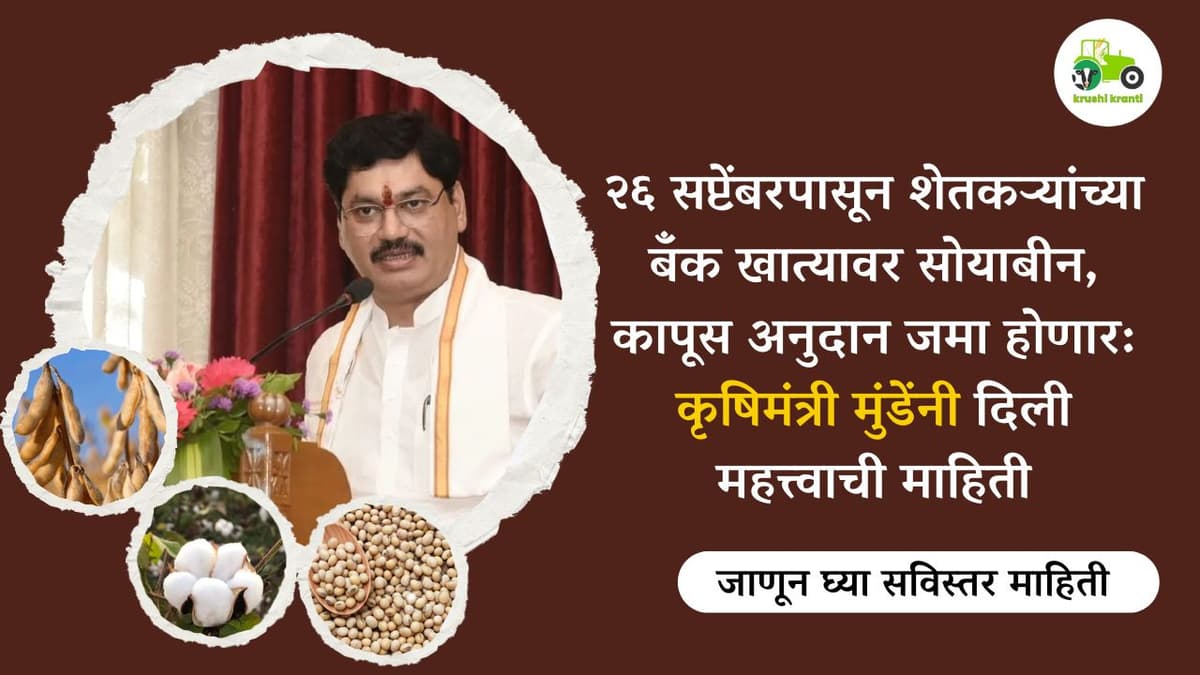 २६ सप्टेंबरपासून शेतकऱ्यांच्या बँक खात्यावर सोयाबीन, कापूस अनुदान जमा होणार