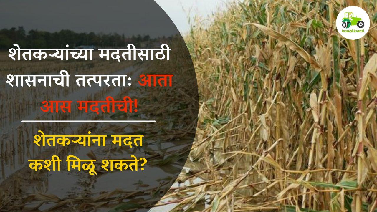 शेतकऱ्यांच्या मदतीसाठी शासनाची तत्परता: आता आस मदतीची!