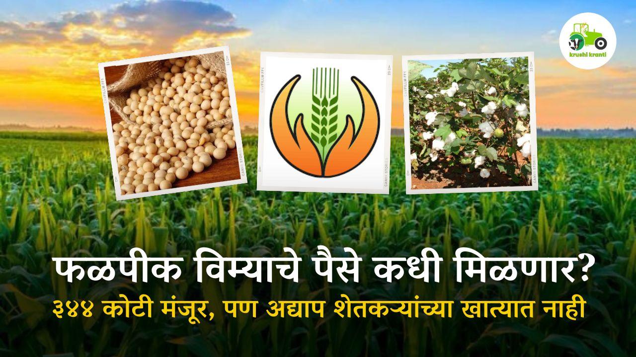 फळपीक विम्याचे पैसे कधी मिळणार?
