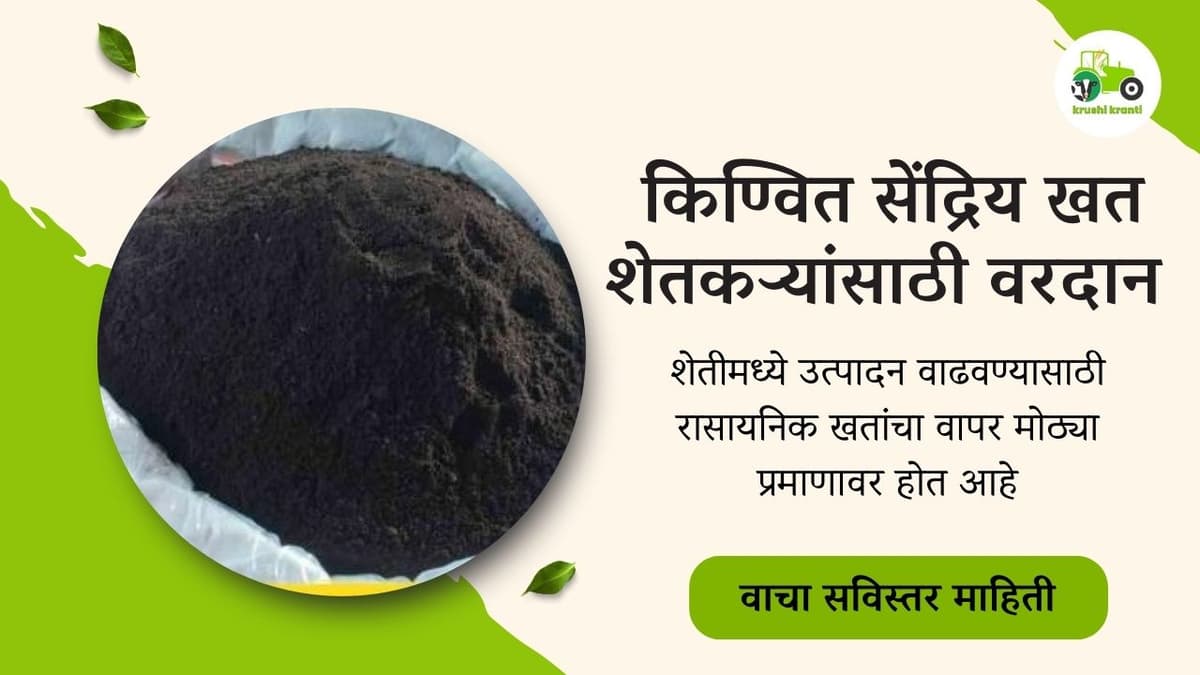 किण्वित सेंद्रिय खत (FOM): शेतकऱ्यांसाठी वरदान