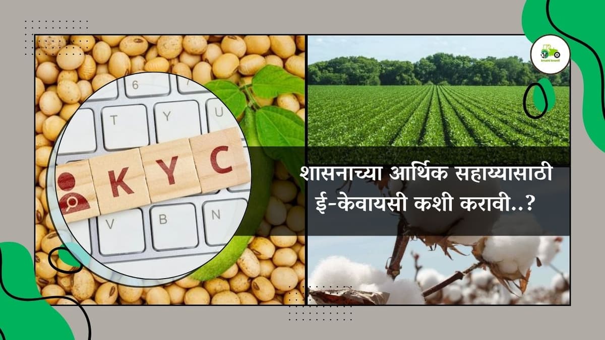 शासनाच्या आर्थिक सहाय्यासाठी ई-केवायसी कशी करावी..?