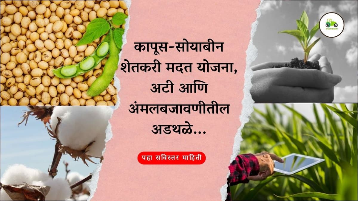 कापूस-सोयाबीन शेतकरी मदत योजना, अटी आणि अंमलबजावणीतील अडथळे...