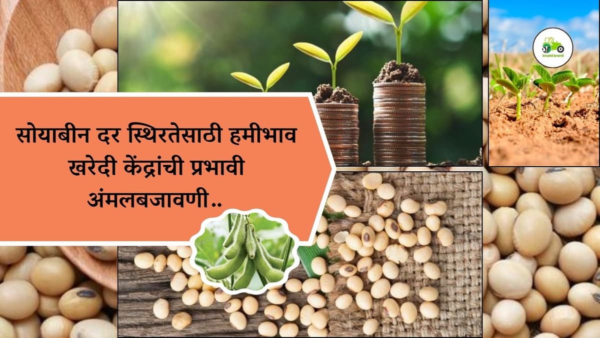 सोयाबीन दर स्थिरतेसाठी हमीभाव खरेदी केंद्रांची प्रभावी अंमलबजावणी…