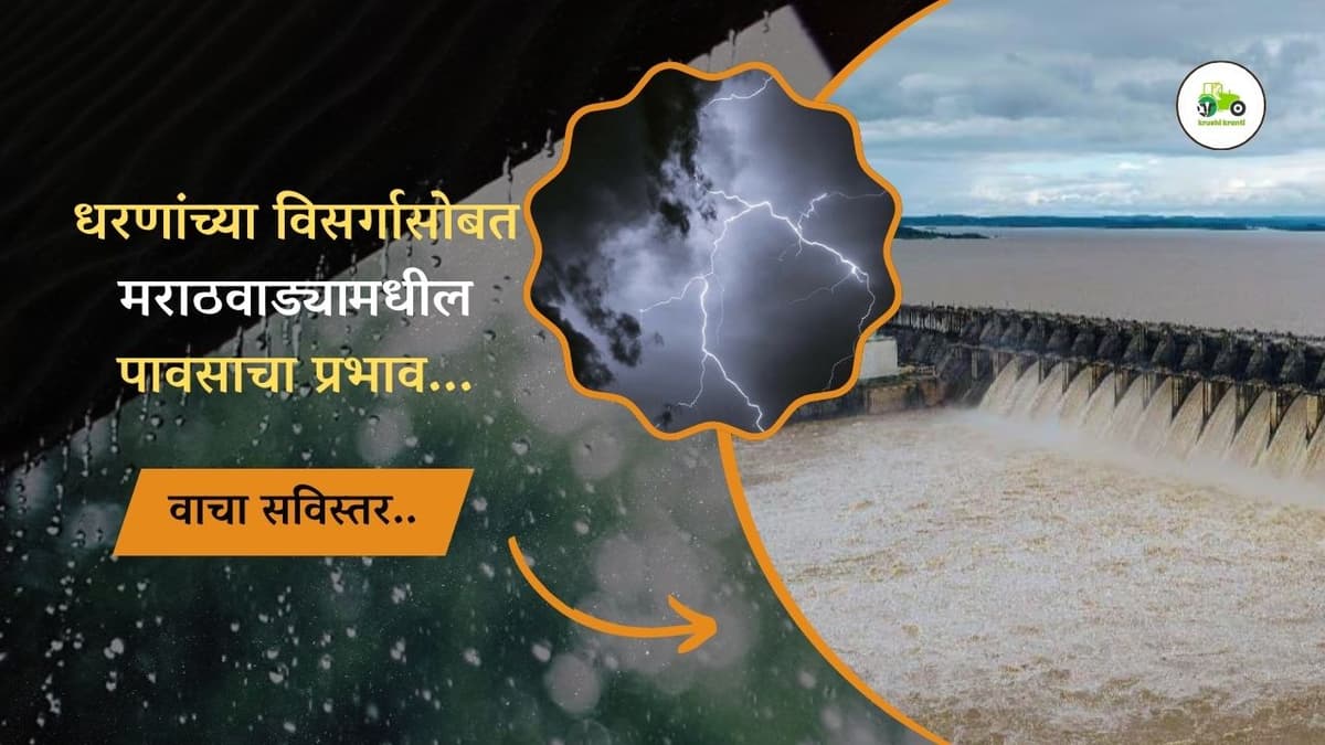 धरणांच्या विसर्गासोबत मराठवाड्यामधील पावसाचा प्रभाव...