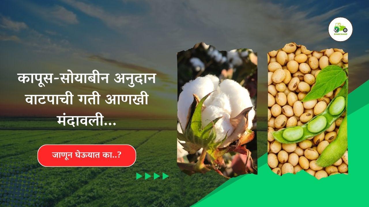 कापूस-सोयाबीन अनुदान वाटपाची गती आणखी मंदावली...