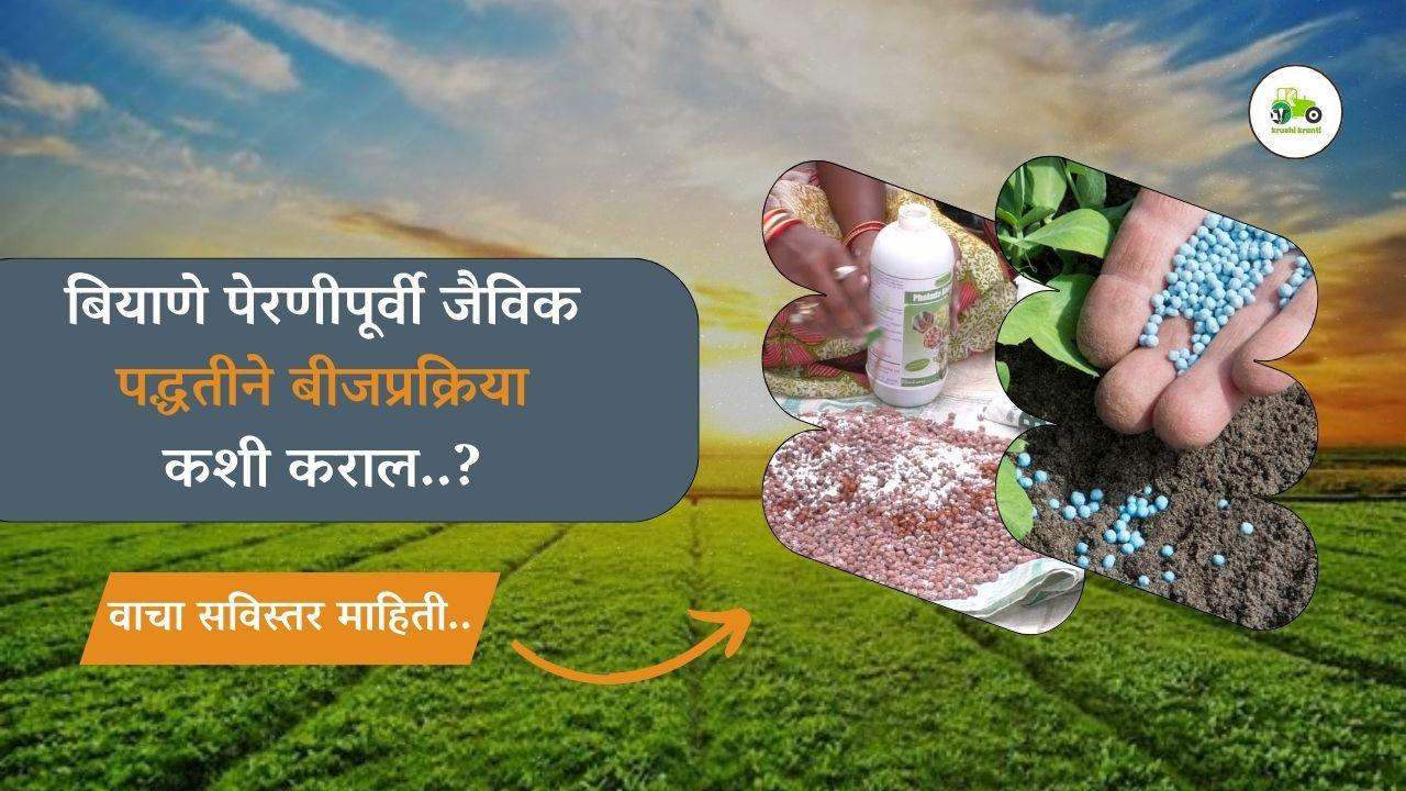 बियाणे पेरणीपूर्वी जैविक पद्धतीने बीजप्रक्रिया कशी कराल..?