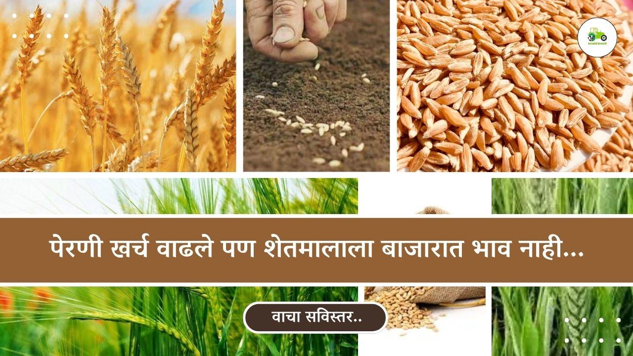 पेरणी खर्च वाढले पण शेतमालाला बाजारात भाव नाही…