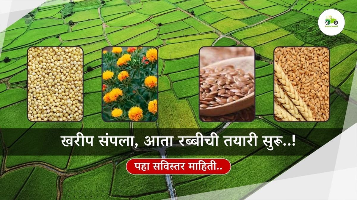 खरीप संपला, आता रब्बीची तयारी सुरू..!