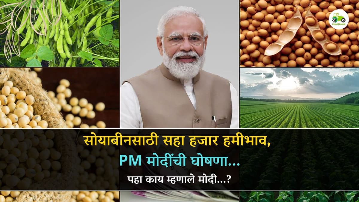 सोयाबीनसाठी सहा हजार हमीभाव, PM मोदींची घोषणा...