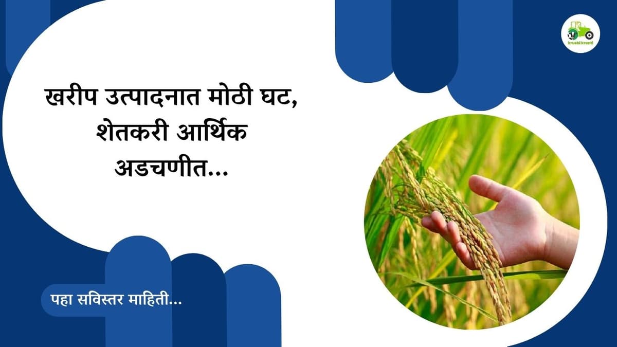 खरीप उत्पादनात मोठी घट, शेतकरी आर्थिक अडचणीत...