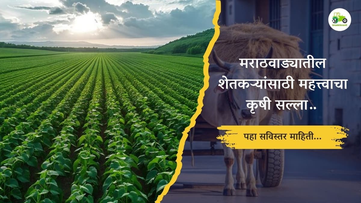 मराठवाड्यातील शेतकऱ्यांसाठी महत्त्वाचा कृषी सल्ला…