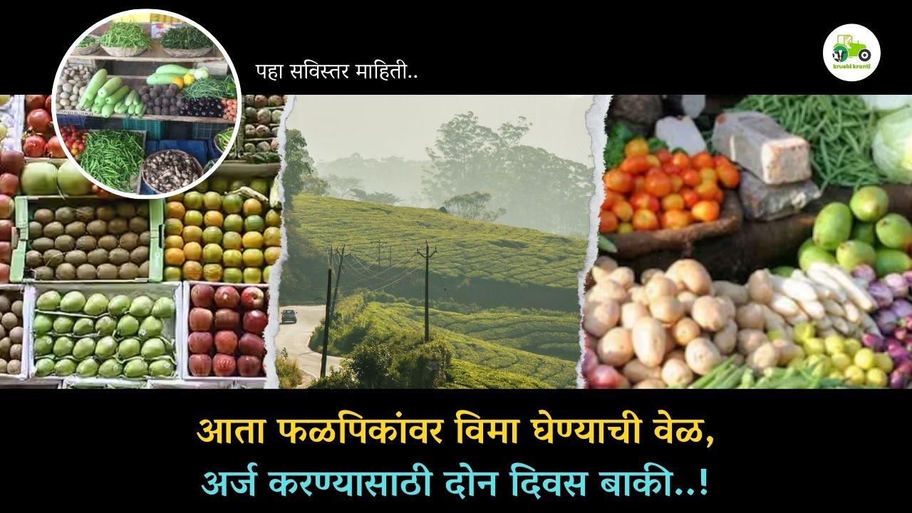 आता फळपिकांवर विमा घेण्याची वेळ, अर्ज करण्यासाठी दोन दिवस बाकी..!