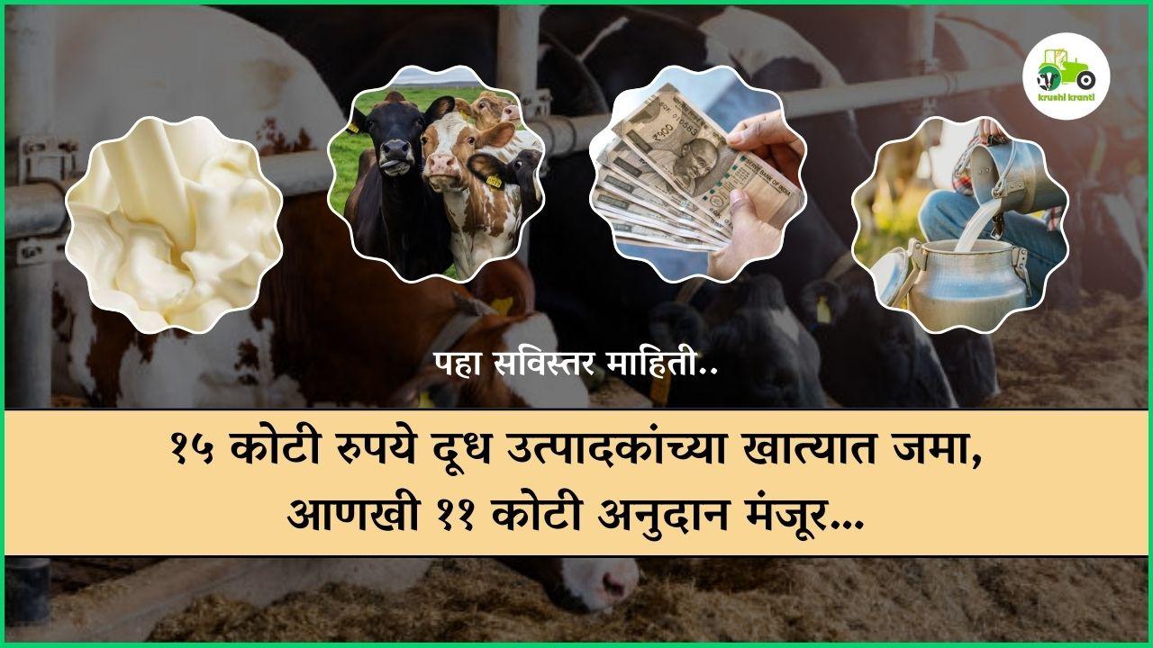 १५ कोटी रुपये दूध उत्पादकां१५ कोटी रुपये दूध उत्पादकांच्या खात्यात जमा,आणखी ११ कोटी अनुदान मंजूर…
