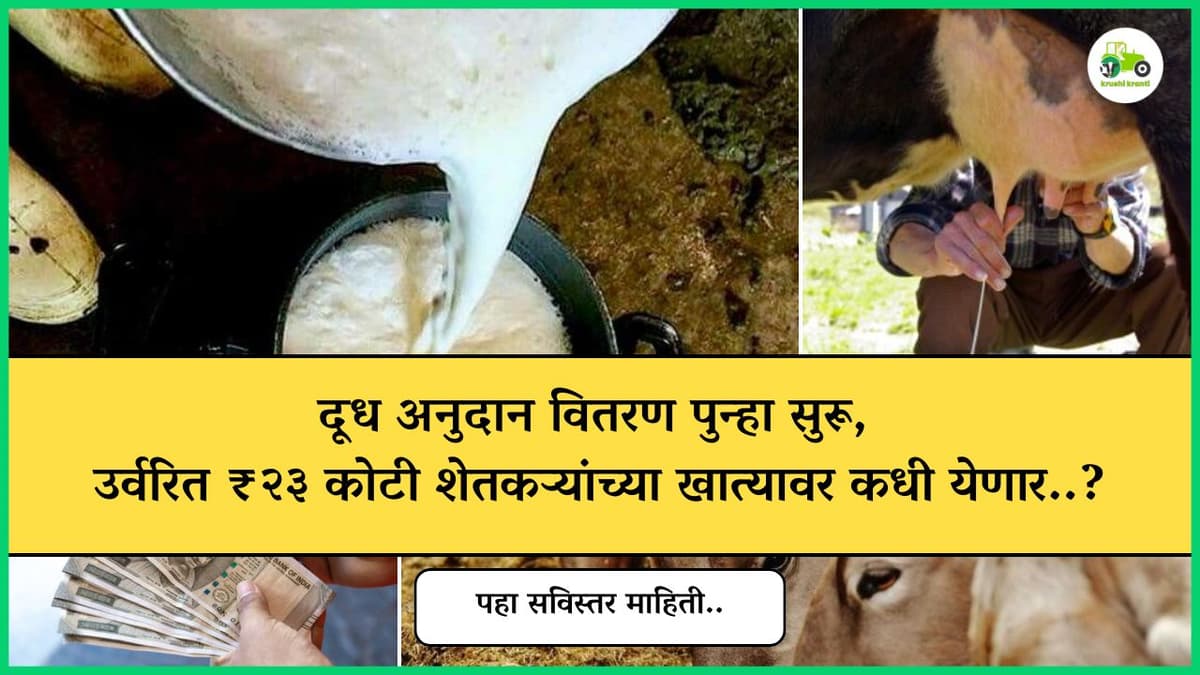 दूध अनुदान वितरण नव्याने सुरू, उर्वरित ₹२३ कोटी शेतकऱ्यांच्या खात्यावर कधी येणार..?