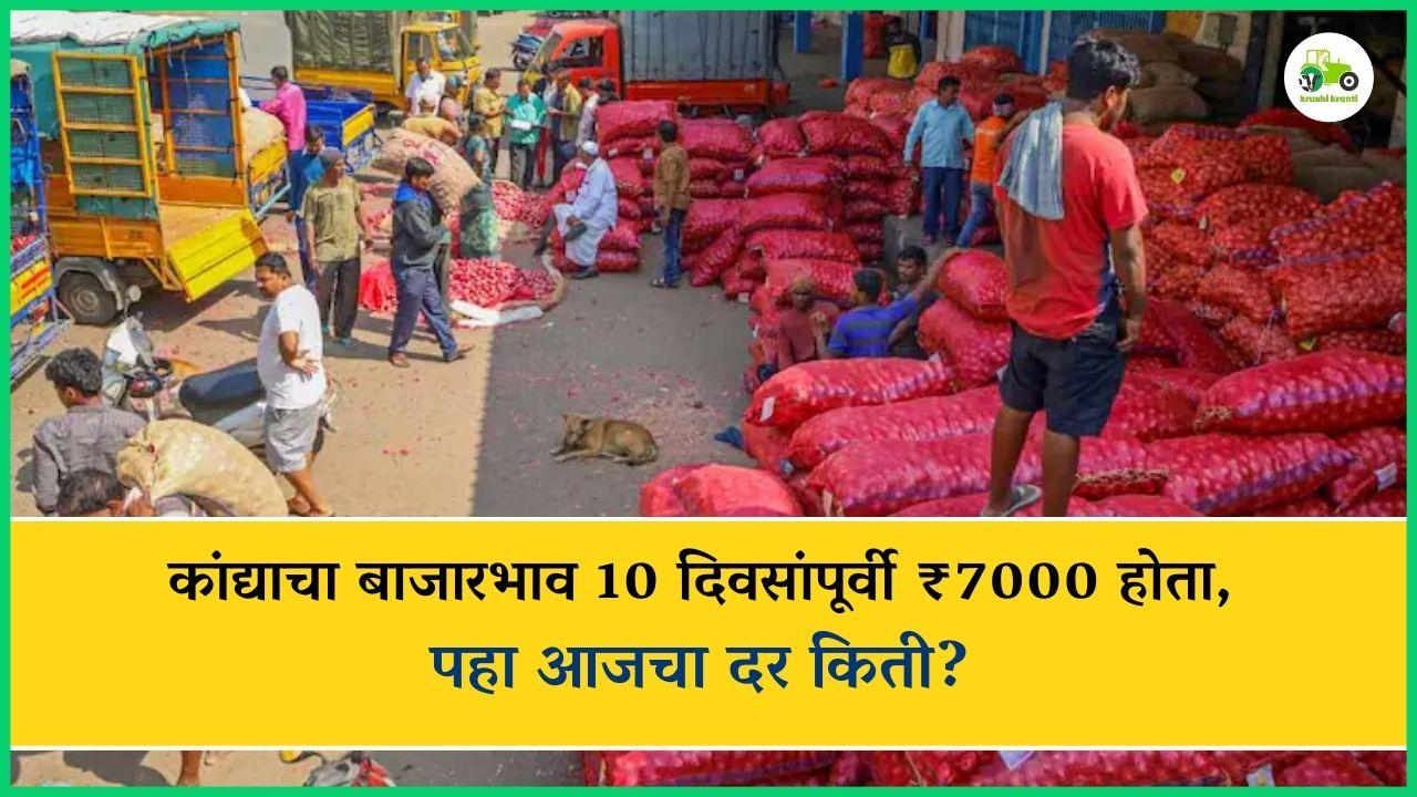 मार्केटमधील कांद्याचा दर, दहा दिवसांपूर्वी सात हजार, पहा आज कसा मिळतोय..?