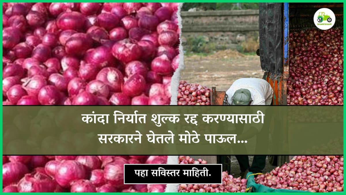 कांदा निर्यात शुल्क रद्द करण्यासाठी सरकारने घेतले मोठे पाऊल…