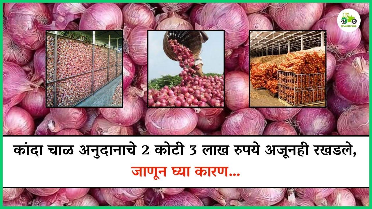 कांदा चाळ अनुदानाचे 2 कोटी 3 लाख रुपये अजूनही रखडले, जाणून घ्या कारण…