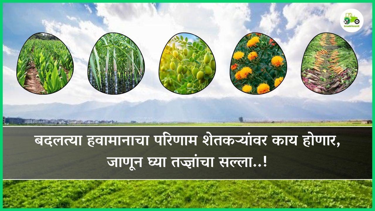 बदलत्या हवामानाचा परिणाम शेतकऱ्यांवर काय होणार, जाणून घ्या तज्ज्ञांचा सल्ला..!