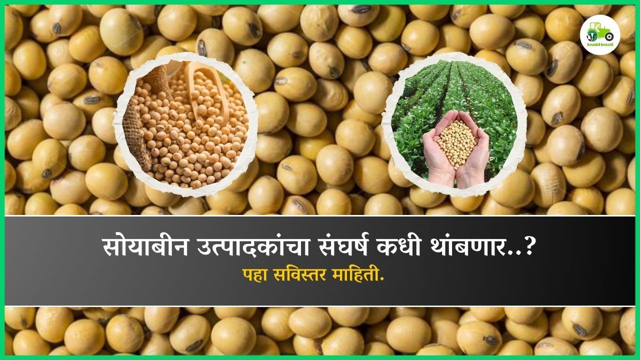 सोयाबीन उत्पादकांचा संघर्ष कधी थांबणार..?