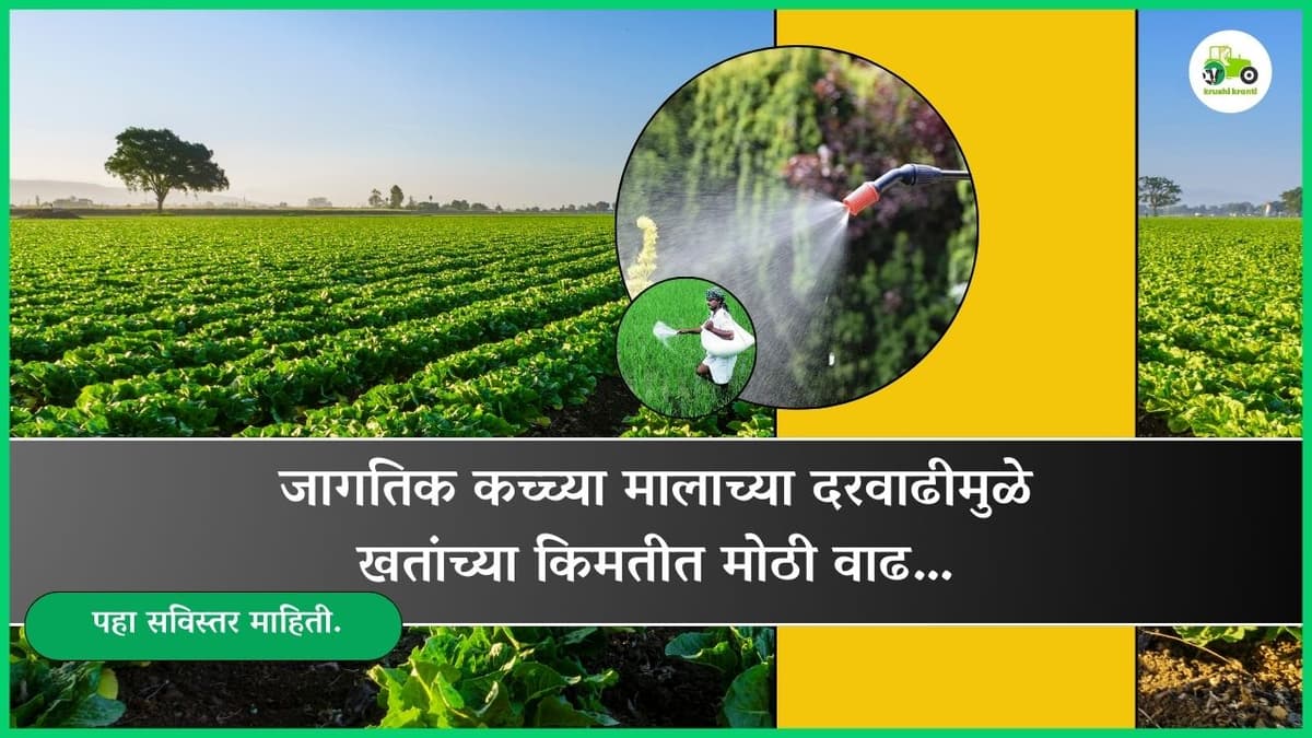 जागतिक कच्च्या मालाच्या दरवाढीमुळे खतांच्या किमतीत मोठी वाढ…