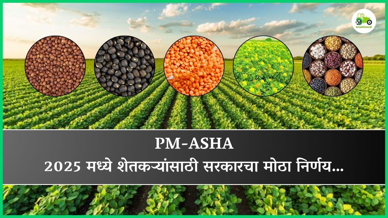 PM-ASHA: 2025 मध्ये शेतकऱ्यांसाठी सरकारचा मोठा निर्णय…