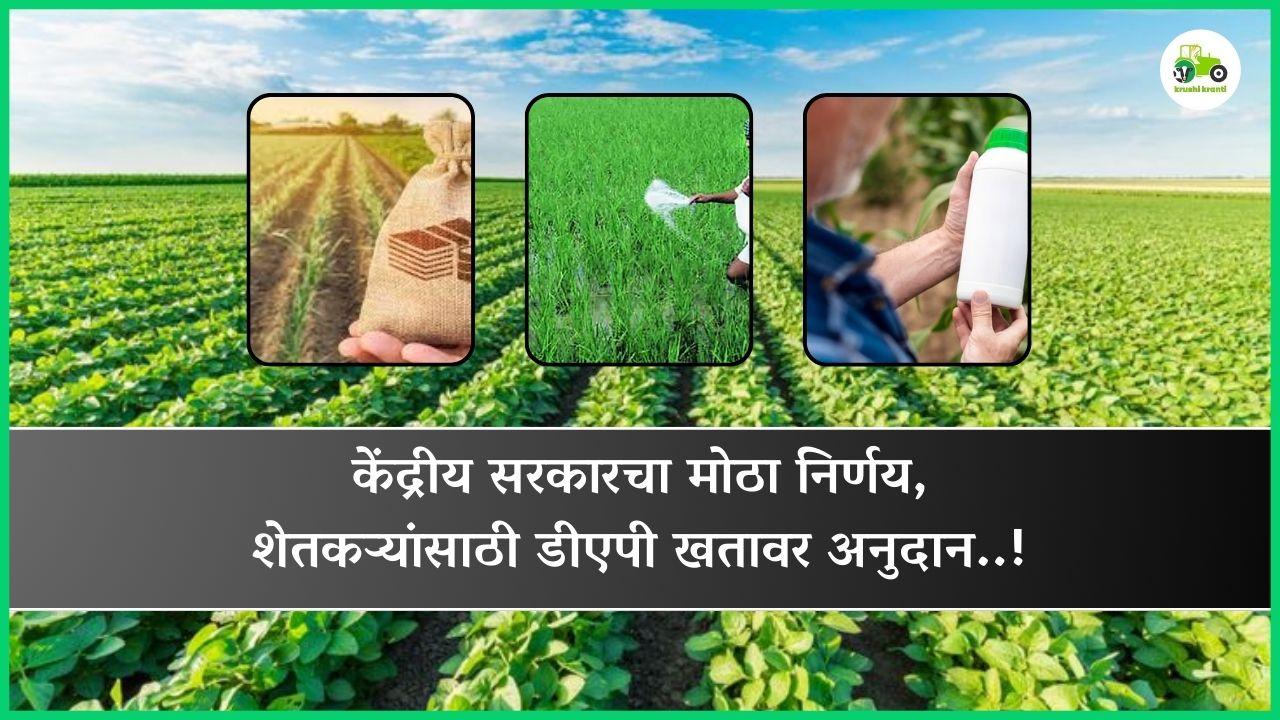 केंद्रीय सरकारचा मोठा निर्णय, शेतकऱ्यांसाठी डीएपी खतावर अनुदान..!